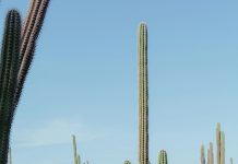 ACF ta invita bo pa un otro Full Moon Hike