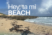 Dia Mundial di Medio Ambiente 2025: Ban renoba nos compromiso pa combati contaminacion di plastic pa un futuro saludabel y sostenibel pa Aruba