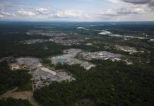 Colombia ta reporta reduccion di 33 porciento den deforestacion na comienso di 2025; Cu progreso mayor den parkenan Amazonico