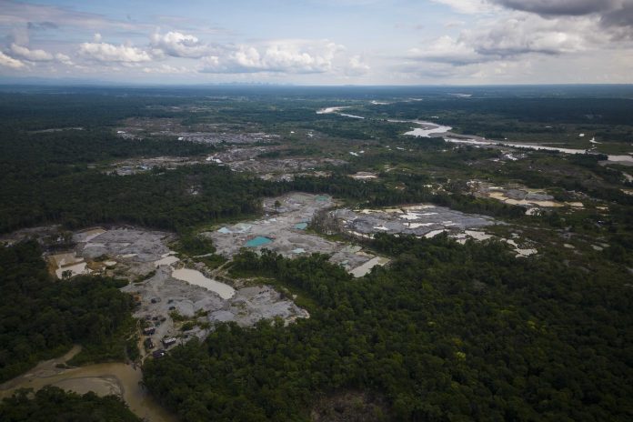 Colombia Amazon Deforestation Data