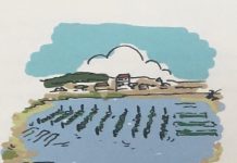 Un Aruba mas ‘nature inclusive’; Medidanan sostenible den sector di Agricultura