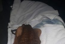 Un cacho den mal estado a ser rescata; Pero un cantidad interminable ainda mester di ayudo