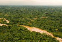 Colombia: Comandos de Frontera ta cobra pa traficantenan di droga cu ta sali for di Cauca