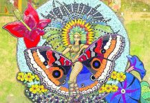 Explora e caya grandi y historia di San Nicolas