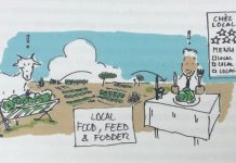 Un Aruba mas ‘nature inclusive’; Medidanan sostenible den sector di Turismo