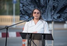 Reforestacion na Aruba: Plan pa planta 100.000 mata rond Aruba