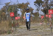 Prins Harry ta sigui stapnan di prinses Diana door di cana door di un tereno di mina na Angola