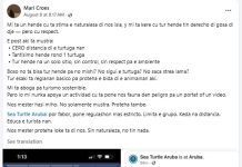 Aventura di snorkeling cu turtuga: Promocion di Producto Aruba of peligro pa naturalesa?