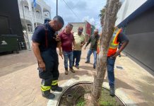 D.O.W. hunto cu bombero a impedi hendenan di bay caya haya coriente door di bao tera den caya