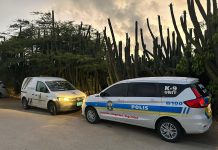 Cuerpo Policial ta informa; Dos detencion, arma di candela y droga confisca den Caya Luna