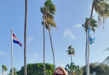 Parlamentario Evelyn Wever-Croes (MEP): Parlamento no ta hayando informacion riba e negociacionnan cu Hulanda