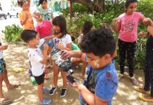 Departamento di Cultura Aruba: Ultimo oportunidad pa inscribi y participa den Carrousel di Expresion, Talento y Creatividad