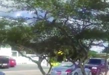 Aruban Warriors plannen actie om publieke toegang tot strand bij Spaans Lagoen Weg te verdedigen