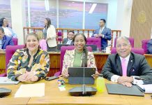 Parlamentario Gino Goeloe posiblemente reemplasa como lider di fraccion den Parlamento