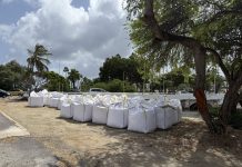 Renobacion di brug banda di Wilhelmina Park