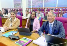 Parlamentario Gino Goeloe (Futuro): “Sin cuenta anual, Aruba no tin control financiero”