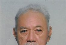 Angel Stanislao Flanegien