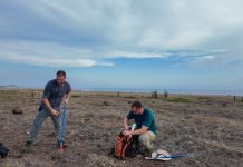 Den colaboracion cu The Toledo Zoo y expertonan; ACF a conduci sondeo di Cascabel usando tecnologia nobo