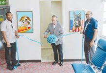 Aeropuerto di Aruba ta introduci Pet Relief Area pa e pasaheronan saliendo for di Aruba cu nan mascota