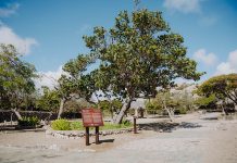 Ayo Rock Formation a haya un apariencia nobo cu enfasis riba herencia cultural y natural