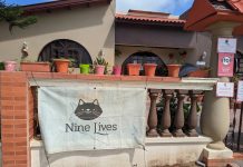 Celebra Dia di Bestia awe cu Nine Lives Aruba Foundation!