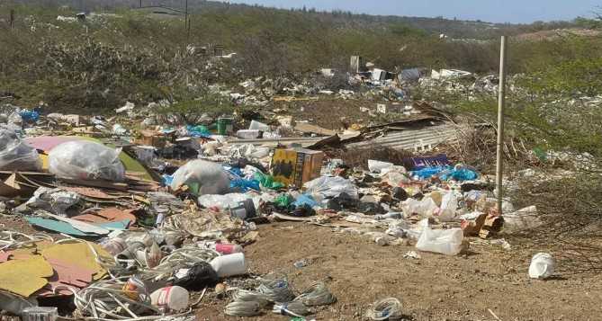 REINO PAGINA 8 - 29-OCT-2025 ARTICULO 2_result