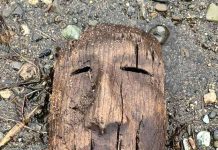 Sitio arkeologico cu ta pone luz riba bida tempran di Yup’ik a ser devasta door di ex-Tifon Halong