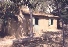 Creando comunidad cu Cas di Torto