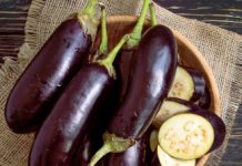 Ban siña for di nos grandinan; Plantanan y frutanan pa uso medicinal