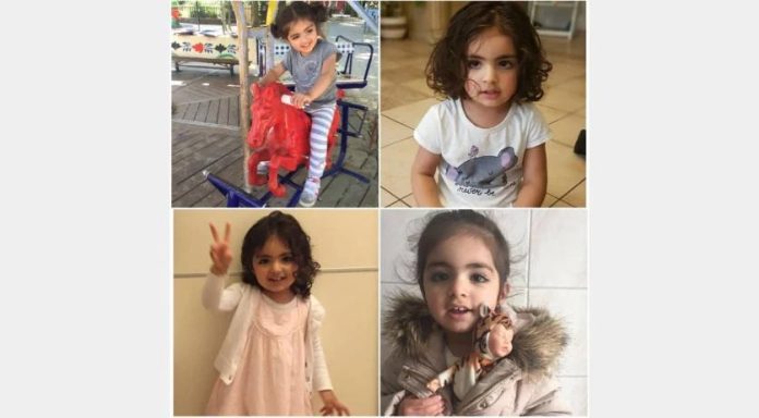 REINO 5-NOV-2025 ARTICULO 3