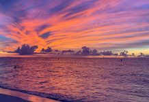 ACF ta invita bo pa mira e bahada di solo banda di costa