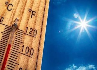 Temperatura na Aruba ta sigui subi: Con pa cuida bo salud y bo mascotanan durante e temporada mas calor
