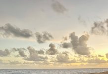 Cinco detenido y cantidad grandi di droga confisca durante accion di Wardacosta