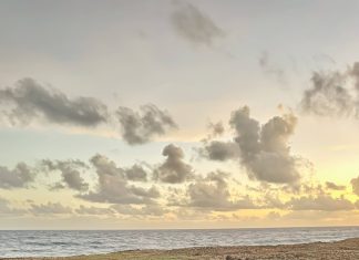 Cinco detenido y cantidad grandi di droga confisca durante accion di Wardacosta