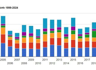 Dia Internacional di Migrante; Migracion y demografia na Aruba: Loke e datonan ta bisa
