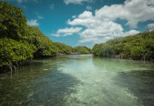 Rapport di IMF: Elevacion den nivel di lama ta un menasa cu por tin consecuencianan grave pa Aruba