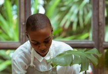 Landspakket Aruba 2025: Evolucion di mercado laboral y seguridad social na Aruba