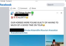 Operadornan di tour ta sigui den violacion di ley cu ta prohibi core cabay riba lama