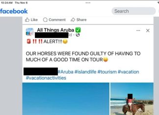 Operadornan di tour ta sigui den violacion di ley cu ta prohibi core cabay riba lama