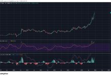 Simon Waslander: Prijs di vivienda lo hisa barbaramente den añanan binidero