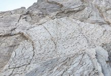 Un fotografo ta descubri miles di ‘footprint’ di dinosaurio cerca di sede di Olimpiada di Winter na Italia