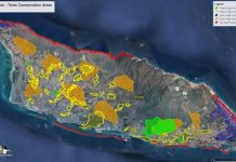 Aruba Birdlife Conservation preparando pa protege bubi di Aruba