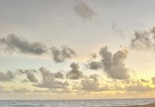 Aruba ripitidamente den dossier di caso penal como punto logistico pa traficacion di droga