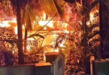 Candela, mascotanan perdi y efecto ambiental: A yega ora pa reconsidera klapchi?