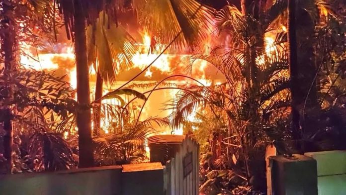 Candela, mascotanan perdi y efecto ambiental 2