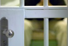 Curandero cu ta bisa di por cura cancer, homosexualidad y autismo aresta na Tilburg