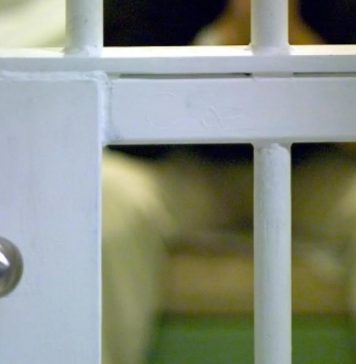 Curandero cu ta bisa di por cura cancer, homosexualidad y autismo aresta na Tilburg