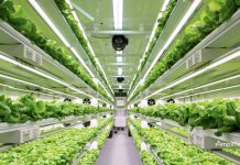 Inversion Strategico