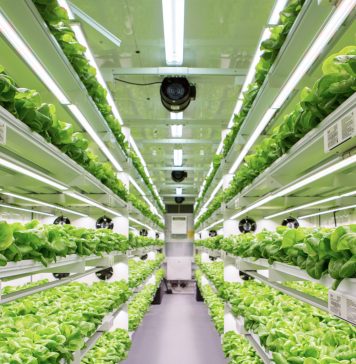 Inversion Strategico