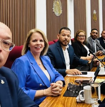 Parlamentario Evelyn Wever-Croes: “Minister Geoffrey Wever su vision y curashi ta limita”